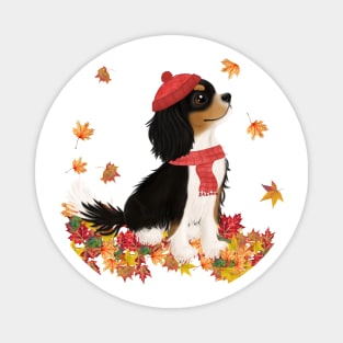 Tri-Color Cavalier King Charles Spaniel in Fall Leaves - Unique Cavalier Gift Magnet